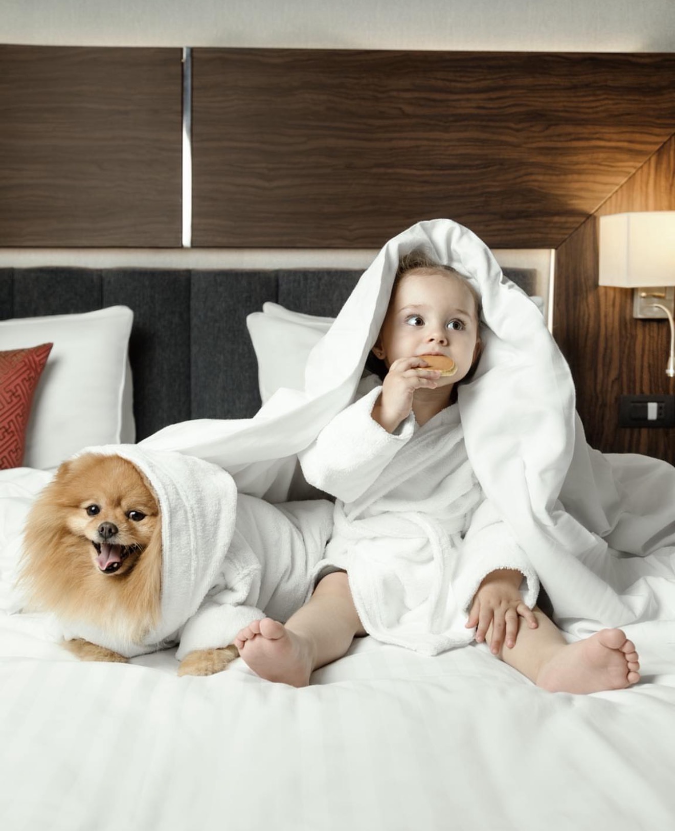Family Suite - 1 king, 1 single bed: 63sqm
